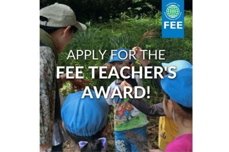 FEE Teacher Award