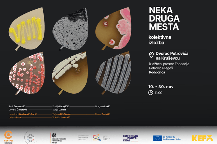 Izložba ArtMeetScience - "Neka druga mesta" u Podgororici od 10-30.11.2023.