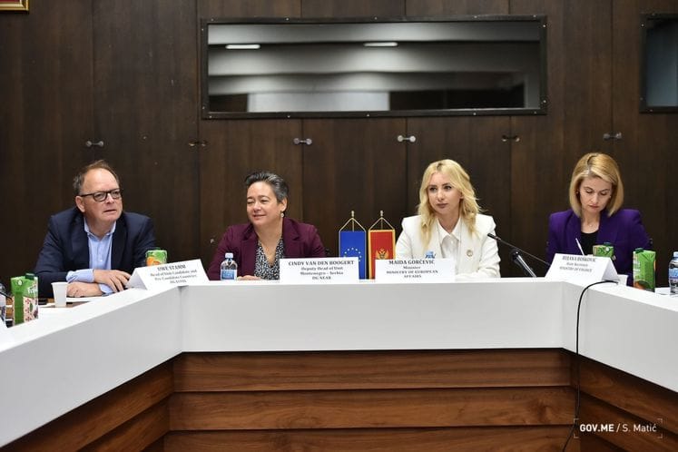 Održan 16. sastanak Podobora za ekonomska i finansijska pitanja i statistiku između Evropske unije i Crne Gore