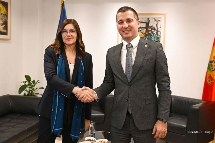 Aleksa Bečić, potpredsjednik Vlade Crne Gore, sastao sa danas sa ambasadorkom Evropske unije u Crnoj Gori, Oanom Kristinom Popom