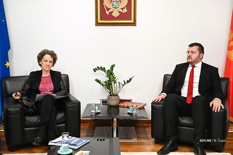 Potpredsjednik Koprivica na sastanku sa Dominik Vag