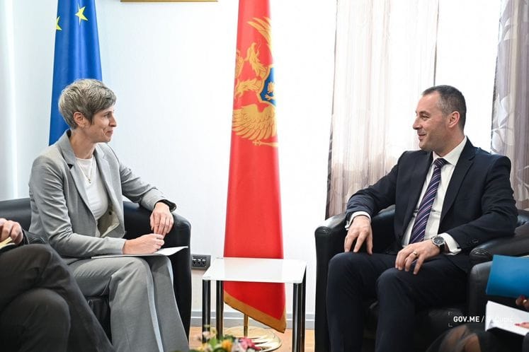 Šćekić – Paniklova