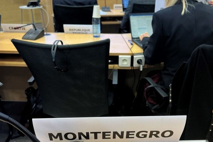 Valentina Pavličić