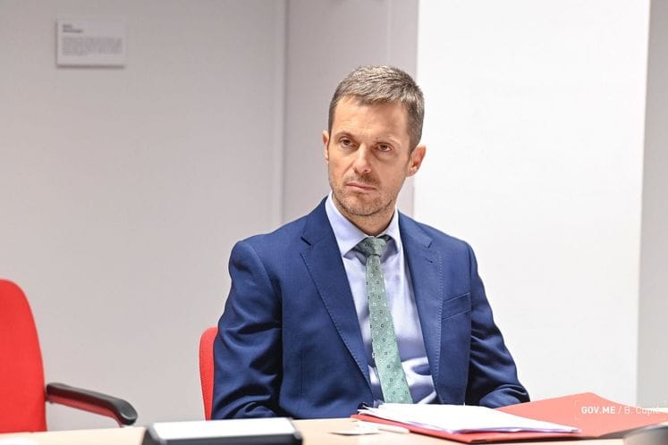 prof. dr Saša Mujović