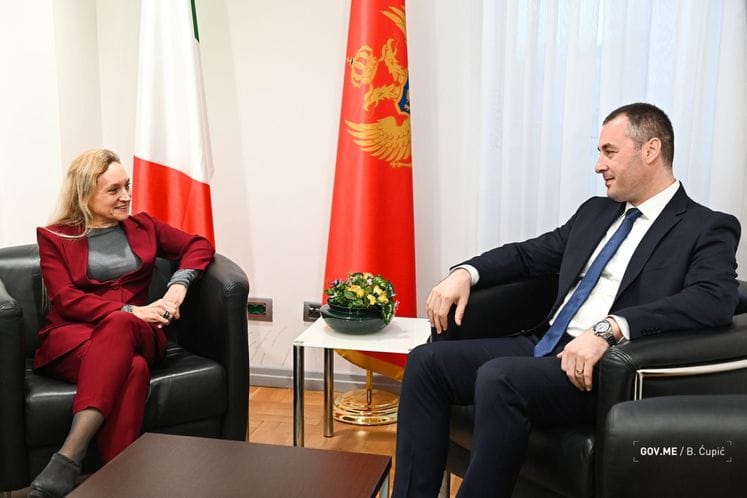 Potpredsjednik Vlade za demografiju i mlade, Dragoslav Šćekić, sastao se sa ambasadorkom Italije, NJ.E Andreinom Marselom