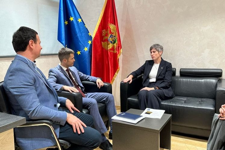 Susret Mujović-Paniklova