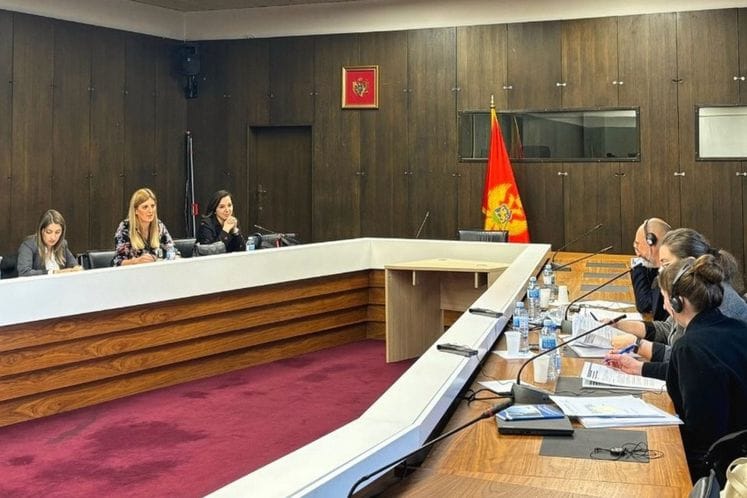 Grupa eksperata Savjeta Evrope za borbu protiv nasilja nad ženama boravi u Crnoj Gori