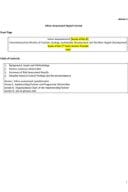 Annex 4_Micro Assessment Report Format_RFP 02-24