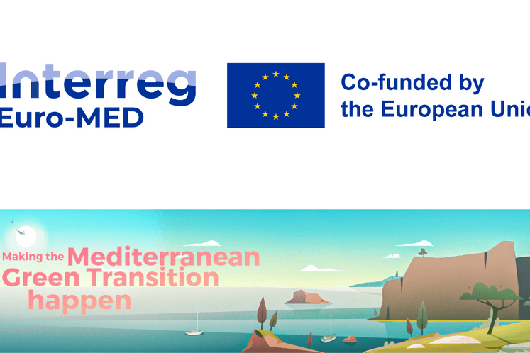 Website Euro-MED