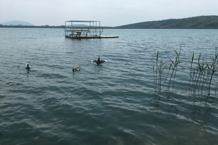 Šasko jezero