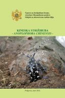 Kineska strižibuba Anoplophora chinensis - brošura