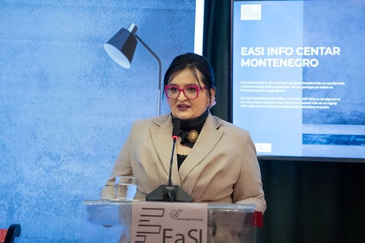 Održana prezentacija programa EU za zapošljavanje i socijalne inovacije (EaSI program)