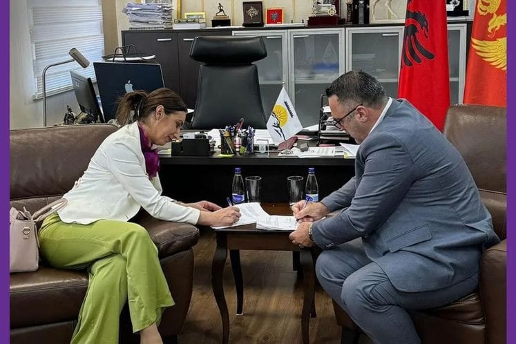 тузи меморандум