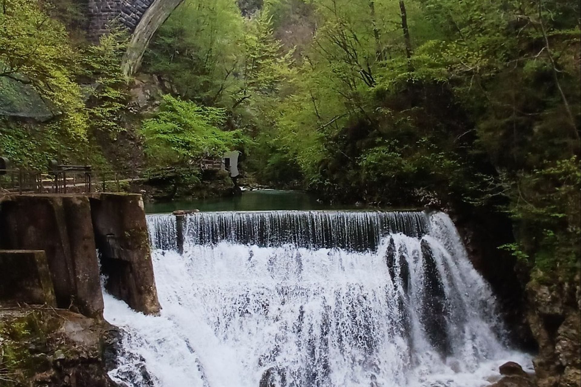 Slovenija - ribarstvo