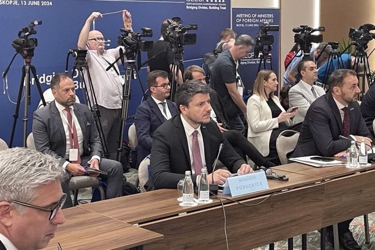 DS Raspopović u Skoplju