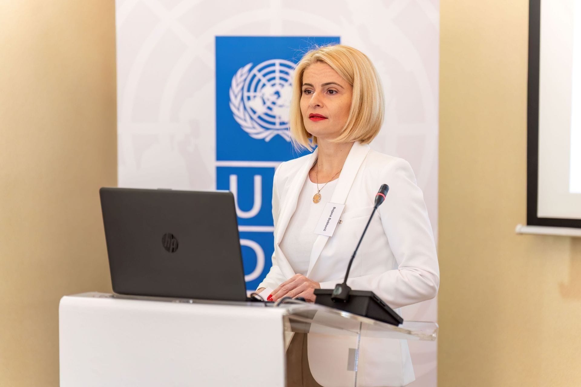 bojana boskovic undp