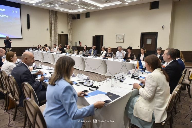 Sastanak Nadzornog komiteta za praćenje implementacije Okvira saradnje za održivi razvoj Vlade i UN-a