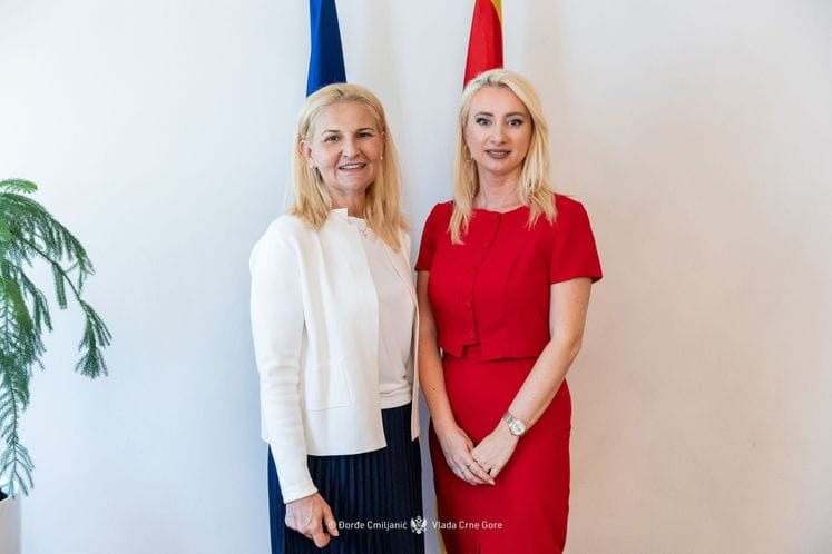 Gorcevic i Miščević