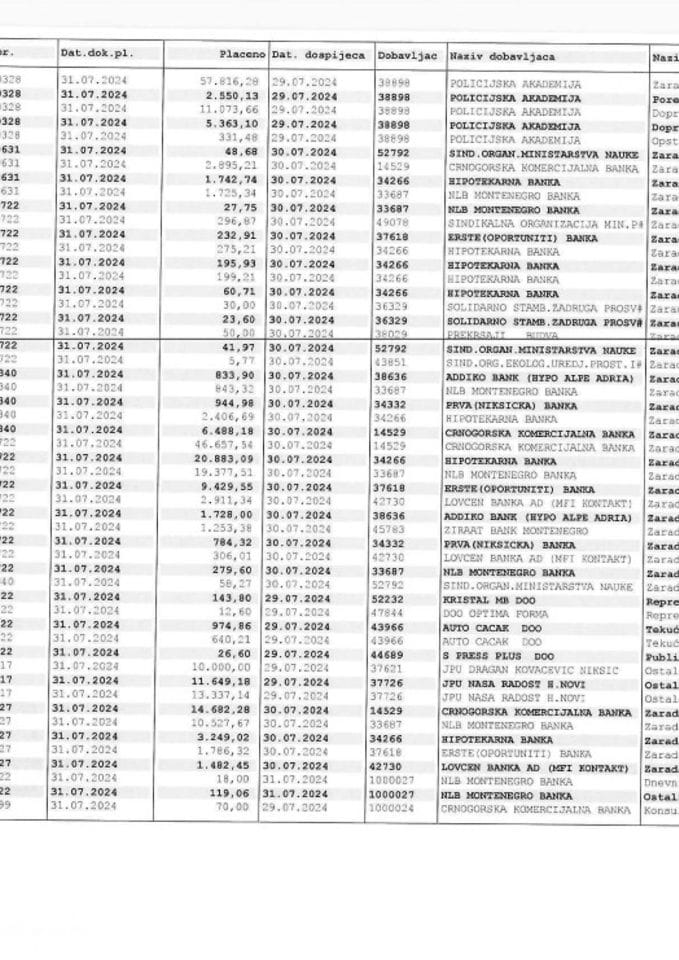 ANALITIČKA KARTICA MPNI 29.7-2.8.2024. GODINE