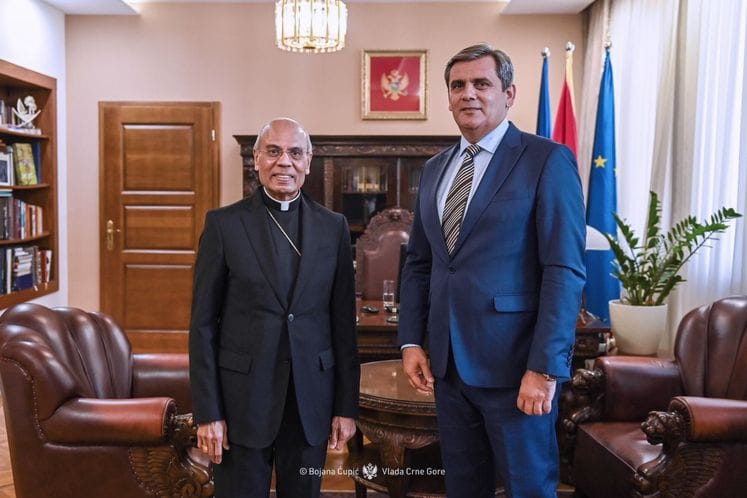 Ibrahimovic - Asisi Culikat