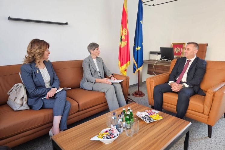 Ministar Gutić se sastao sa stalnom predstavnicom UNDP-a u Crnoj Gori