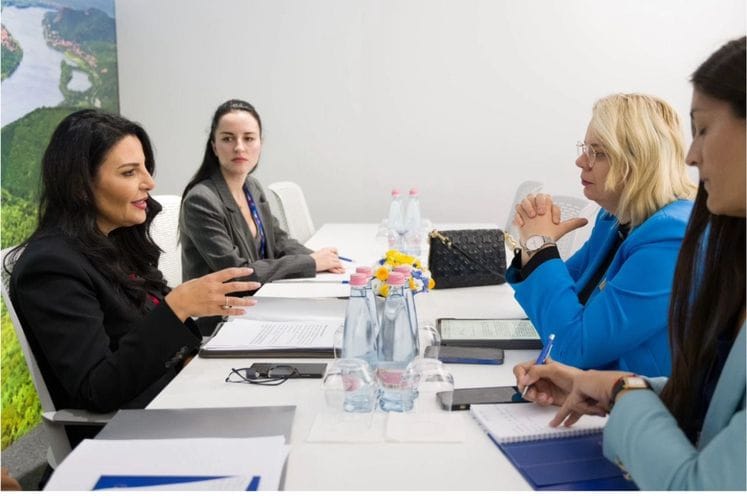 Vukićević - Baluku