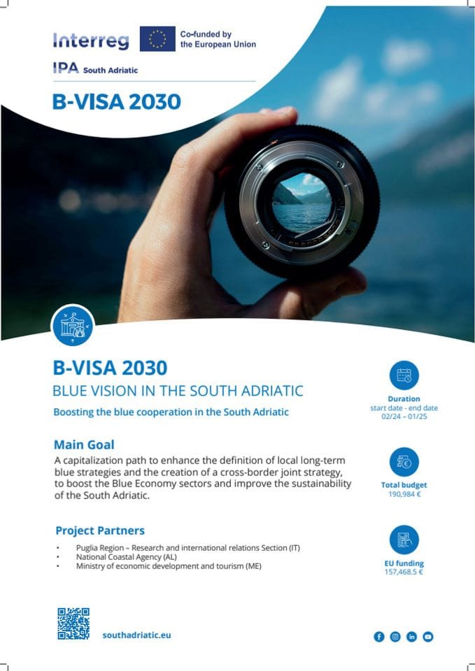 B-VISA_poster