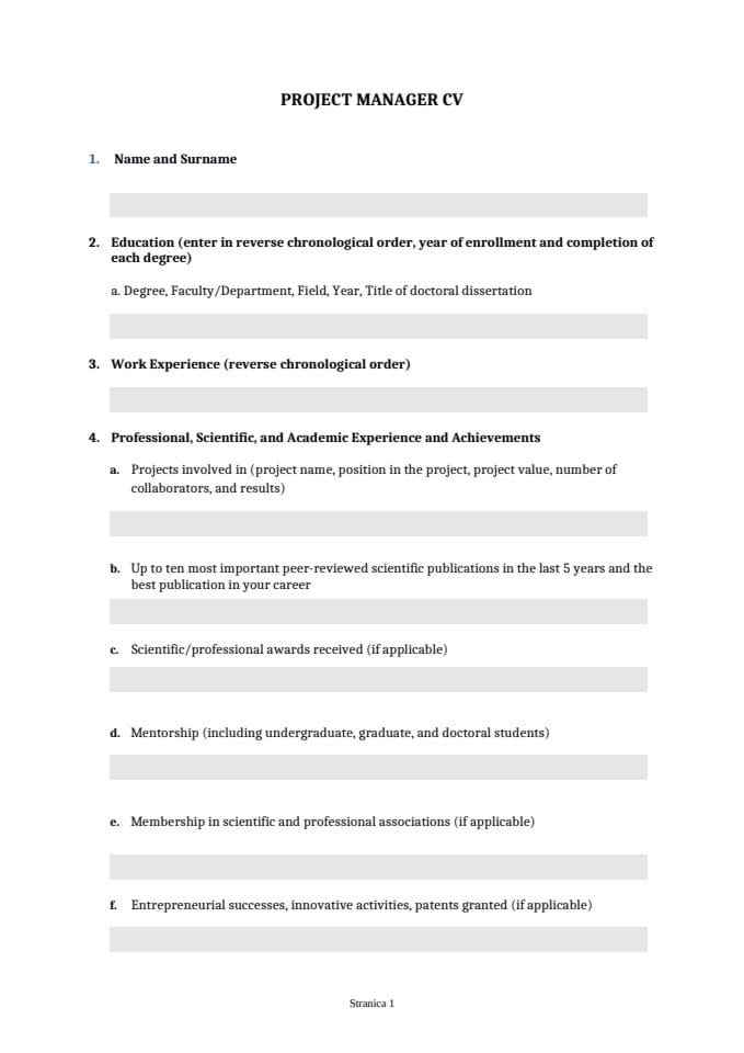 7. PROJECT MANAGER CV_template