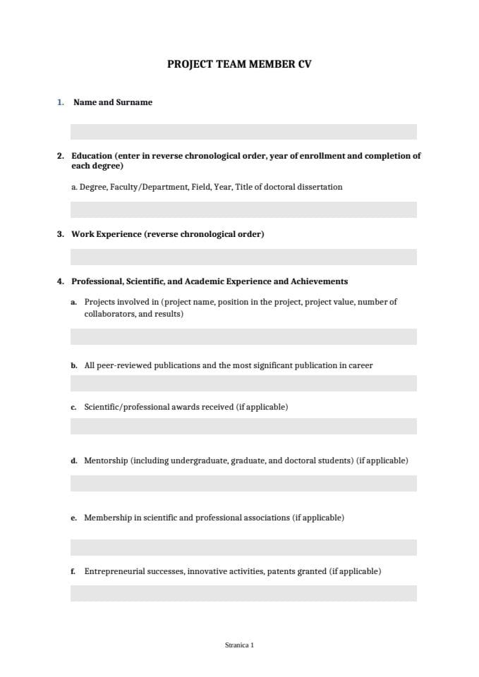 8. PROJECT TEAM MEMBER CV_template