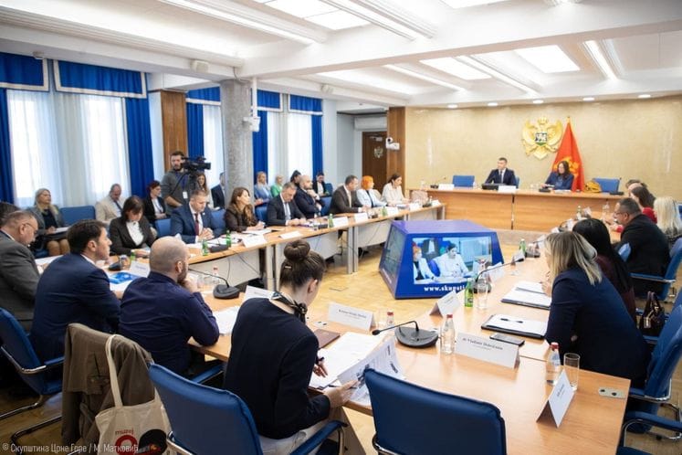 Gutić na kontrolnom saslušanju: Tokom 2023. registrovano 166 slučajeva vršnjačkog nasilja