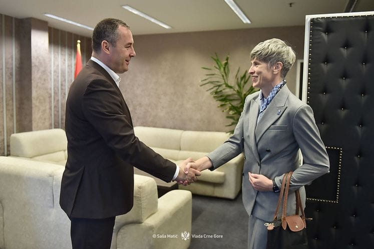 Šćekić i Paniklova