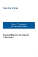 CP4 Practice Paper of the Scope of Protection of Black and White Marks