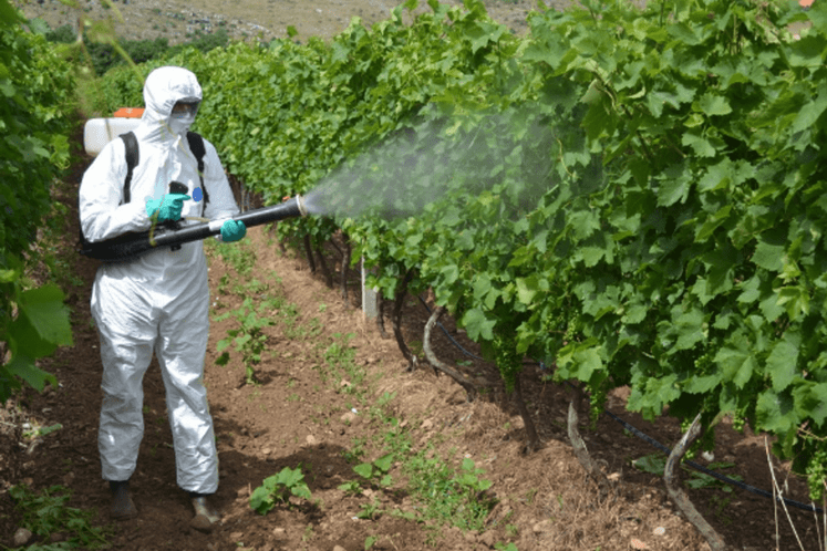 tretiranje pesticidi