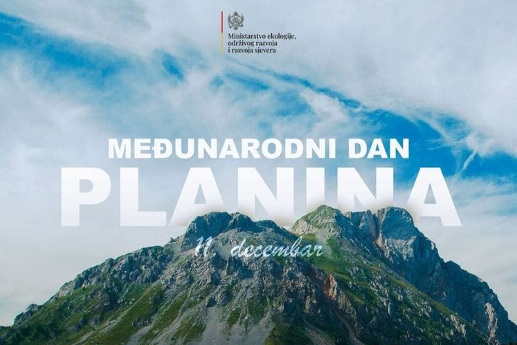 Međunarodni dan planina