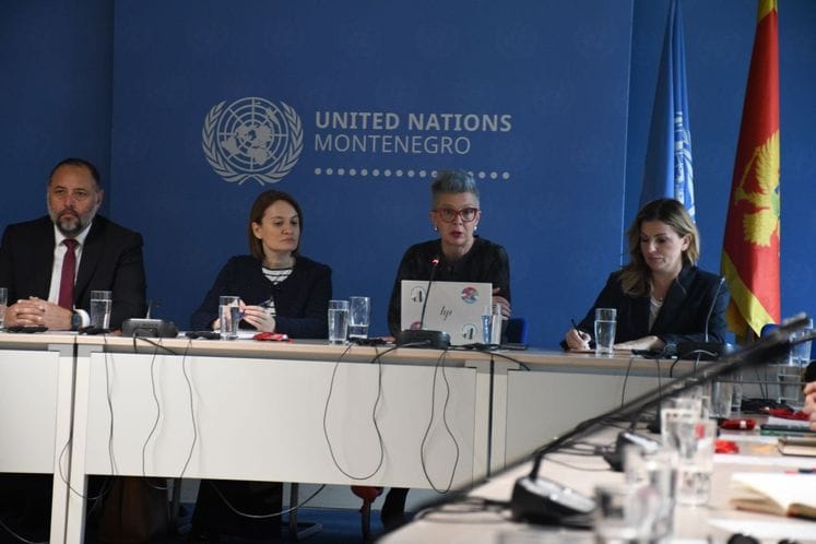 Vitomirović: Crna Gora postavlja ambiciozne ciljeve smanjenja emisija i jača usklađenost sa Evropskom klimatskom politikom.