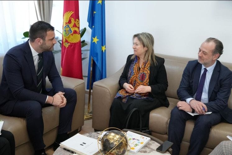 Žižić sa Maske: Očekujemo uspješnu saradnju sa AFD