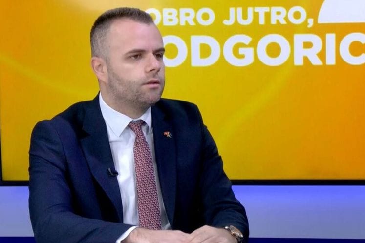 Omeragić: Crna Gora uskoro dobija registar dijaspore