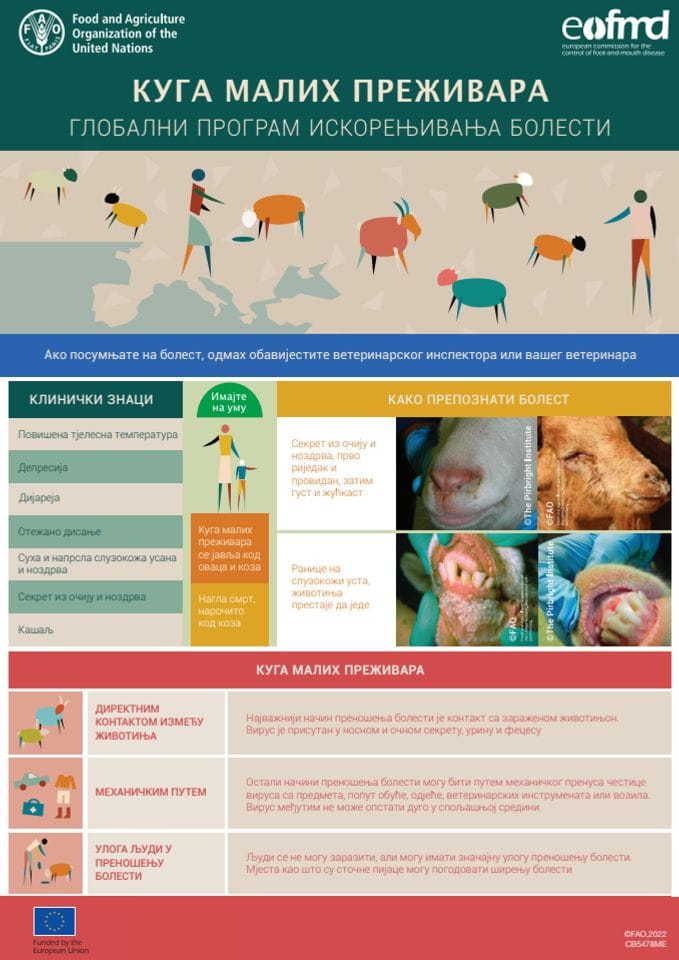 Kako prepoznati bolest - flajer