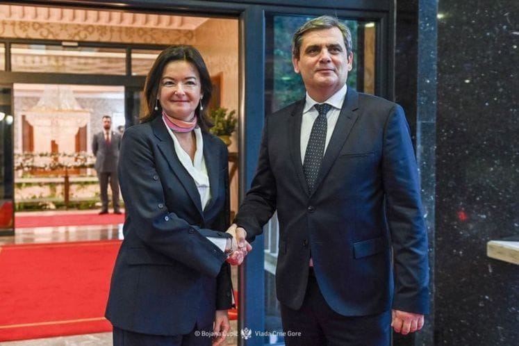 Ibrahimović - Fajon