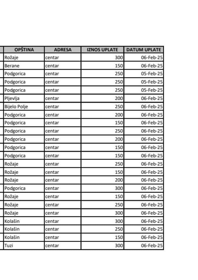 JNP za februar 2025.