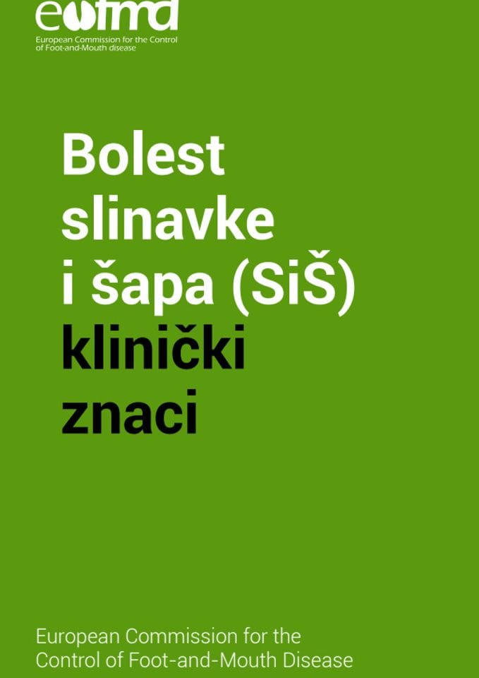Klinički znaci_Slinavka i Šap