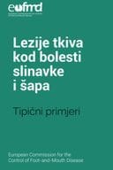 Lezije_Slinavka i Šap