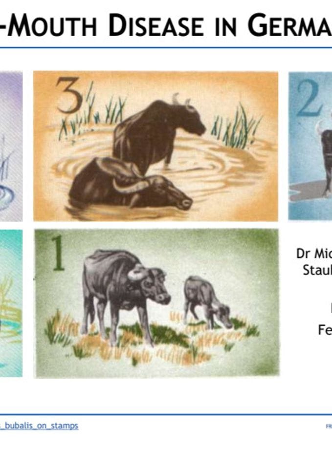 Слинавка и шап у Њемачкој у 2025.