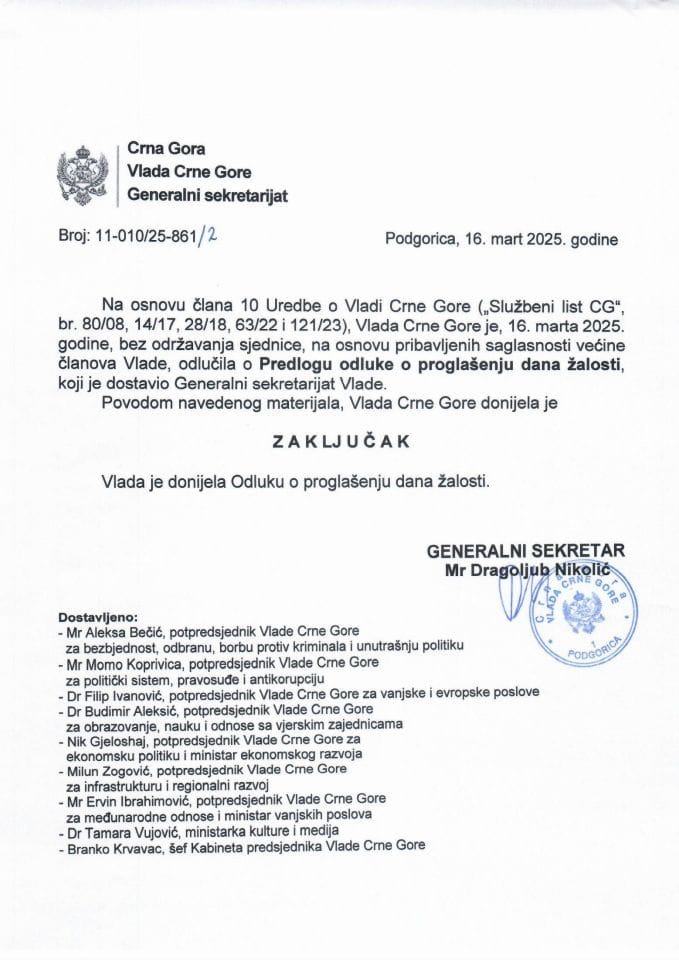 Odluka o proglašenju dana žalosti - Zaključci