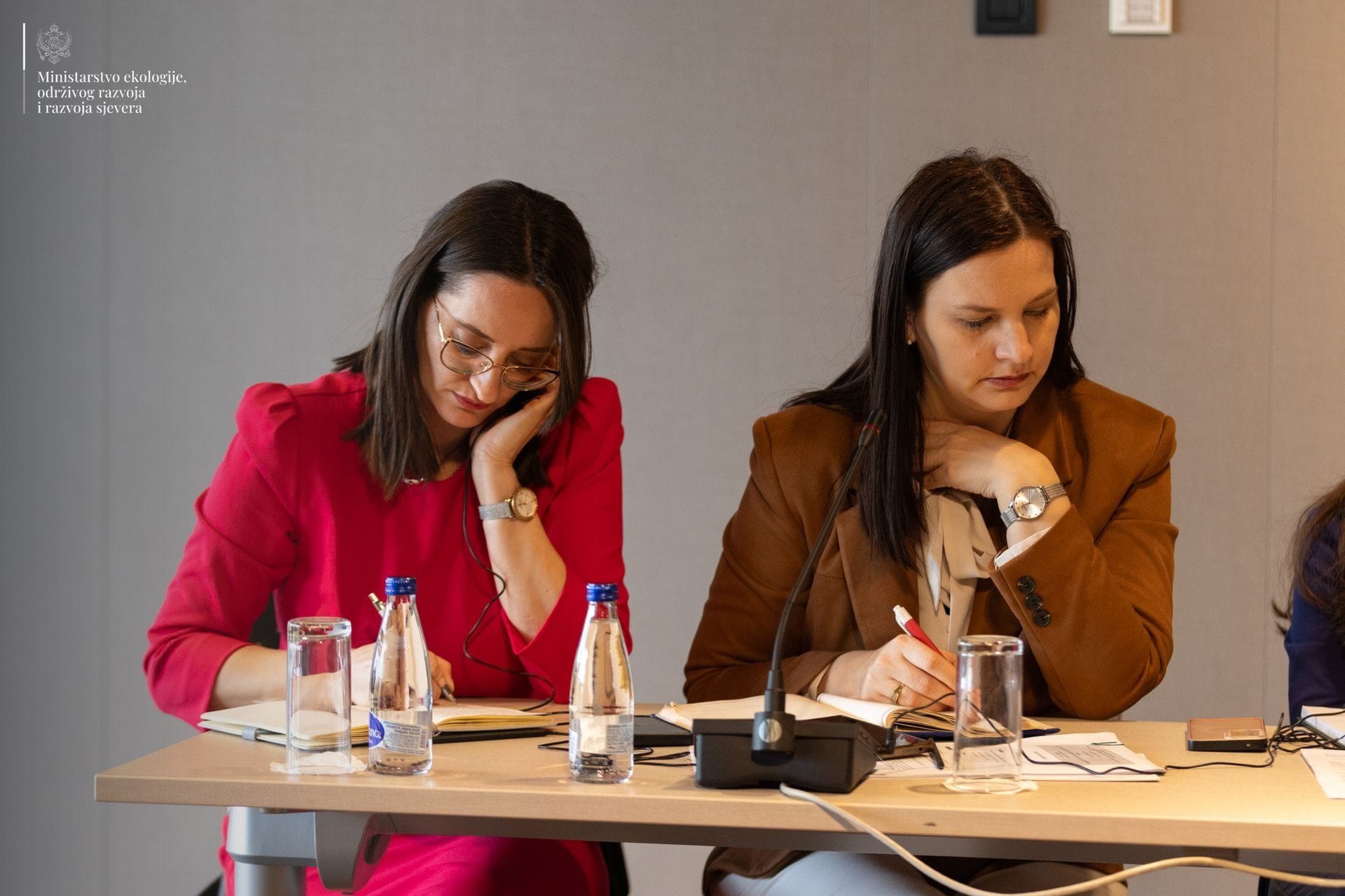 Održan sastanak Radne grupe za Poglavlje 27 i EK: Postignut značajan napredak u oblasti zaštite životne sredine