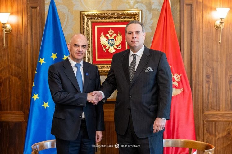 Filip Ivanović - Alain Berset