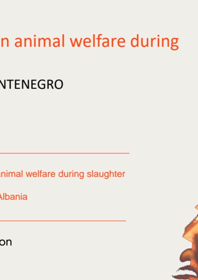 Stanje uslova dobrobiti životinja tokom klanja u registrovanim klanicama