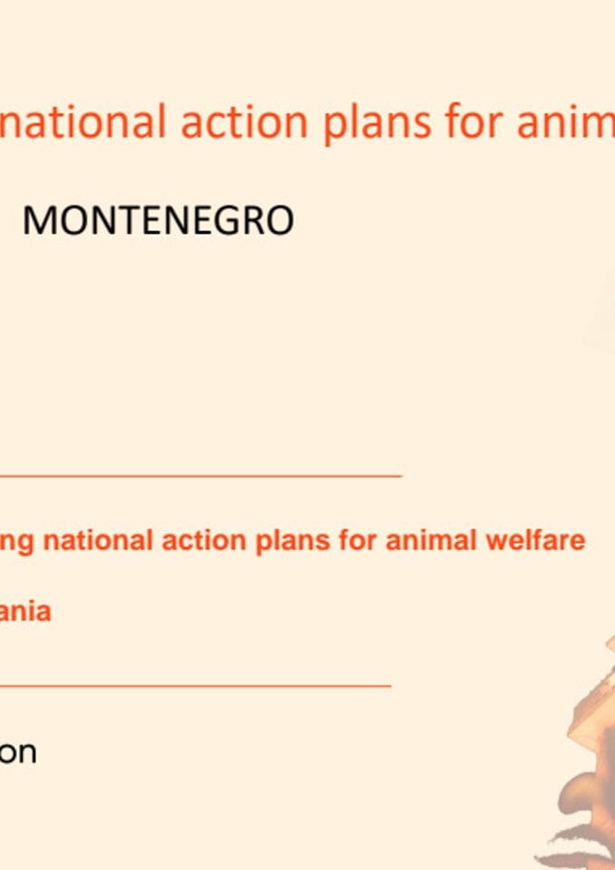 План израде Националног акционог плана из области заштите добробити животиња у ЦГ