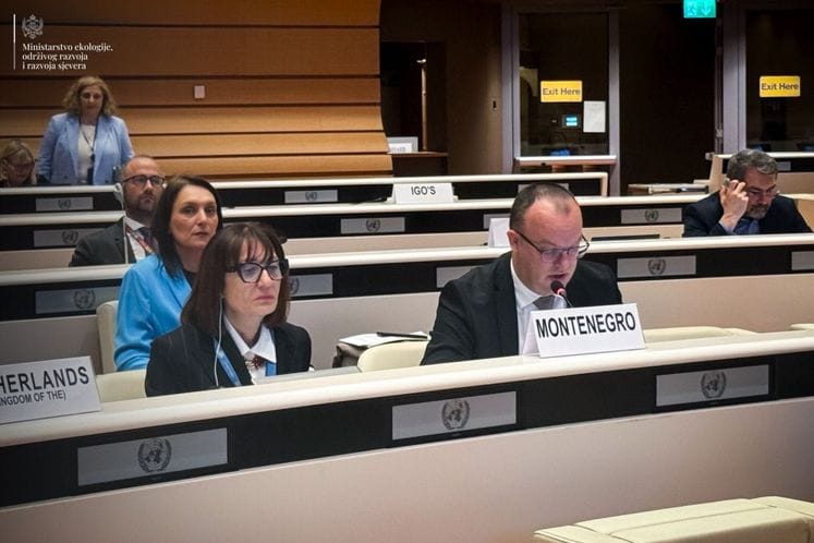 Ćulafić na sjednici UNECE: Crna Gora dokazuje da je moguće ostvariti održivu budućnost kroz inovacije i trajnu posvećenost