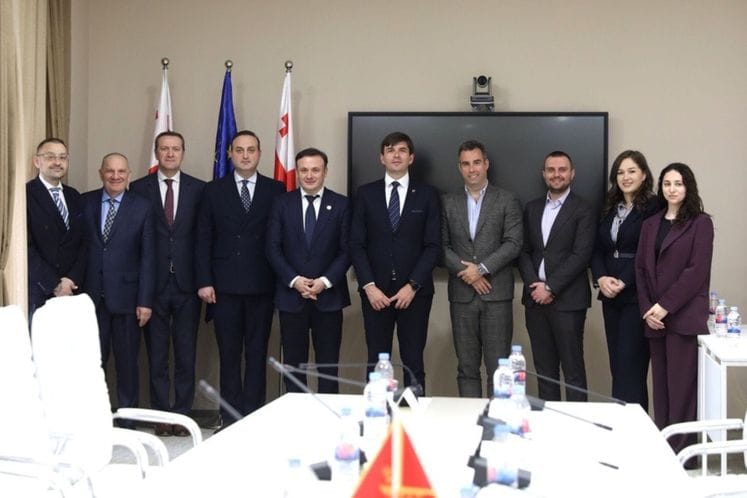 Delegacija Ministarstva dijaspore u studijskoj posjeti Gruziji